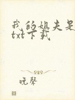 我的姐夫是太子txt下载