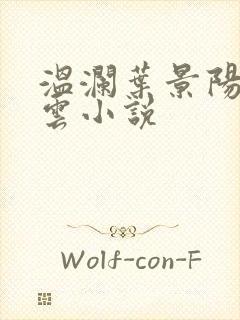 温澜叶景阳温云云小说