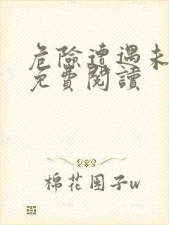 危险遭遇未增删免费阅读