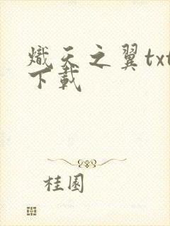 炽天之翼txt下载