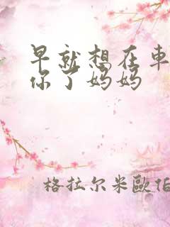 早就想在车里要你了妈妈