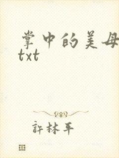 掌中的美母版主txt