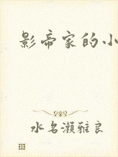 影帝家的小厨娘