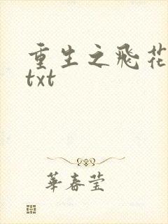 重生之飞花落照txt