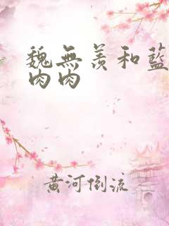 魏无羡和蓝忘机肉肉