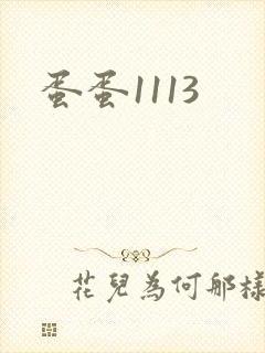 蛋蛋1113