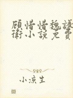 顾惜惜魏谦锦衣卫小说免费阅读