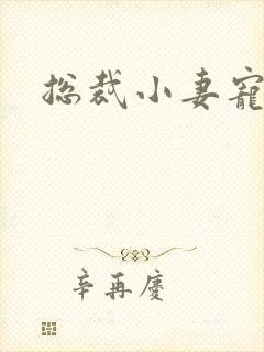 总裁小妻宠上天