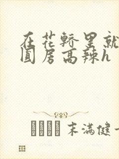 在花轿里就开始圆房高辣h