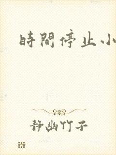 时间停止小说