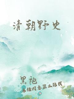 清朝野史