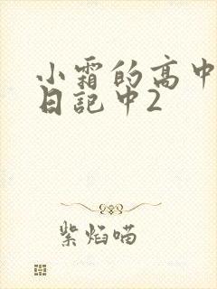小霜的高中成长日记中2