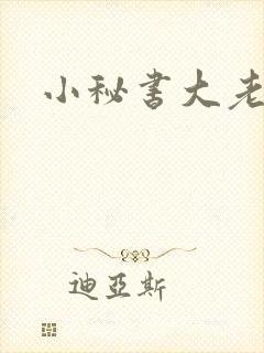 小秘书大老婆