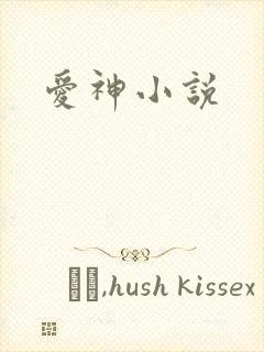 爱神小说