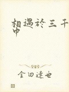 相遇于三千肉文中