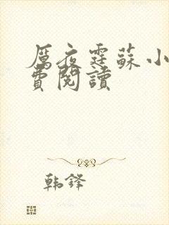 厉夜霆苏小汐免费阅读