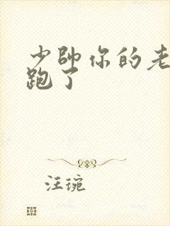 少帅你的老婆又跑了