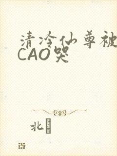 清冷仙尊被强制CAO哭
