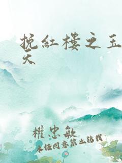 挽红楼之玉舞九天