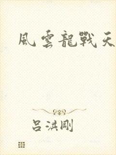 风云龙战天下