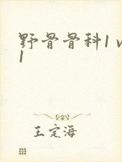 野骨骨科1 v1