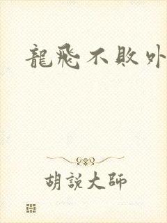 龙飞不败外传