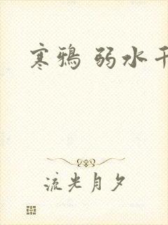 寒鸦 弱水千流