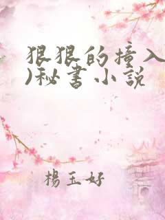 狠狠的撞入(h)秘书小说