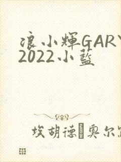 浪小辉GARY2022小蓝