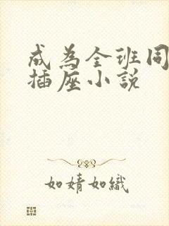 成为全班同学的插座小说