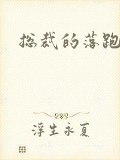 总裁的落跑情人