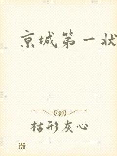 京城第一状师