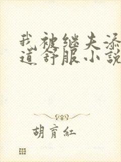 我被继夫添我阳道舒服小说