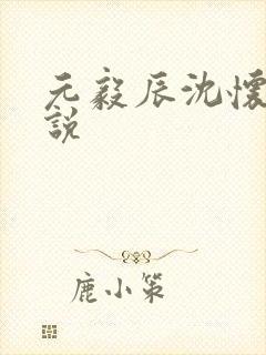 元毅辰沈怀妆小说