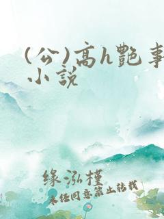 (公)高h艳事小说