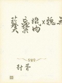 蓝忘机x魏无羡失禁肉