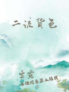 二流货色