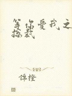 等你爱我之冰山总裁