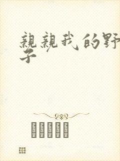 亲亲我的野猪王子