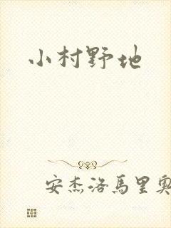 小村野地