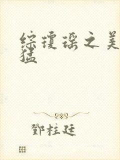 综琼瑶之美人凶猛