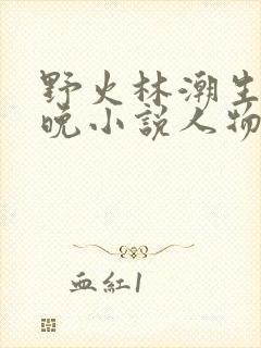 野火林潮生林晚晚小说人物野火