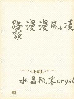 路漫漫风凌轩小说