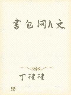 书包网h文