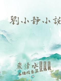 刘小静小说