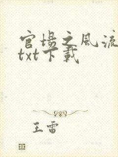 官场之风流人生txt下载