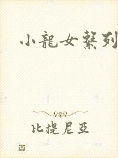 小龙女系列小说