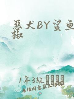 恶犬BY鲨鱼辣椒