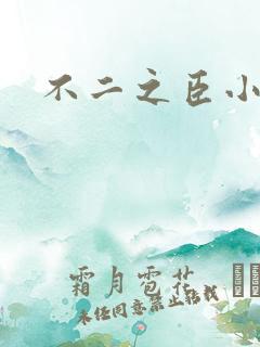 不二之臣小说
