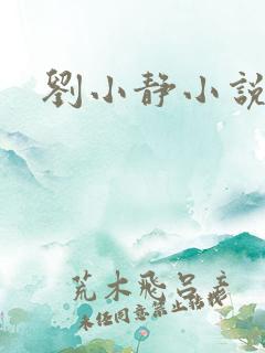 刘小静小说